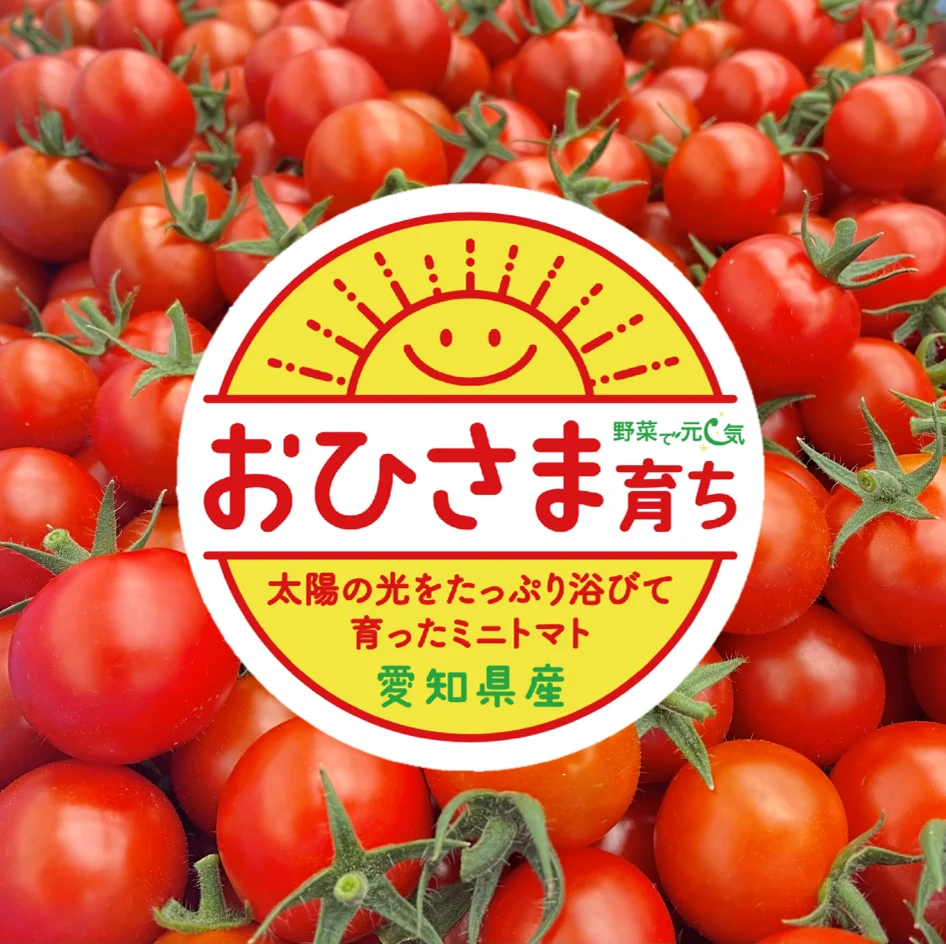 ☀️おひさま育ち☀️天然アミノ酸パワーで元気いっぱい‼️のミニトマト