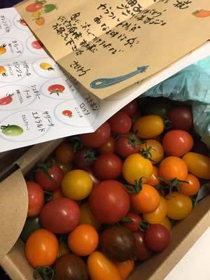 みんなの投稿の画像