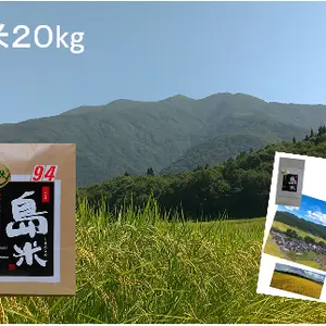 新米R5年産 特別栽培米 幻のコシヒカリ最上流の上級米 20k白米