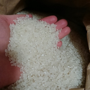 【少量】送料無料☆お米の食べ比べ