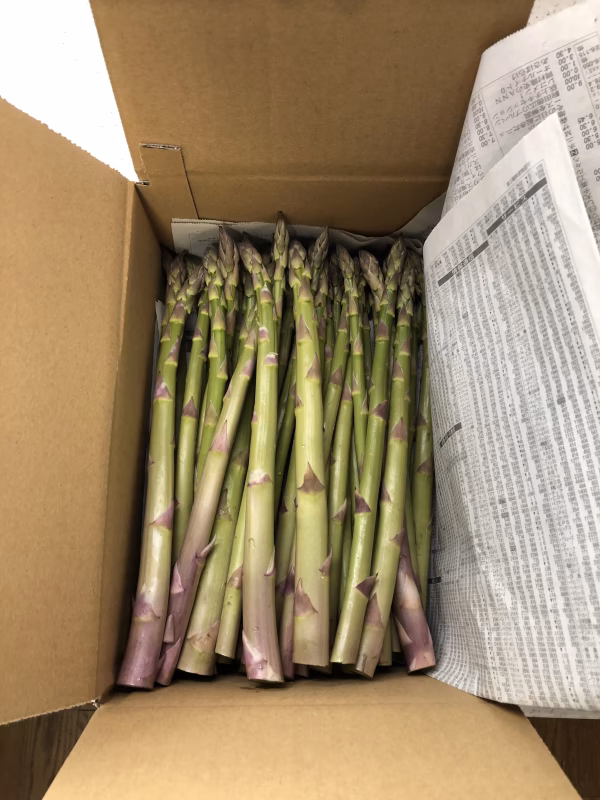 ☆朝採り☆信州うえだ産【訳あり】アスパラガス