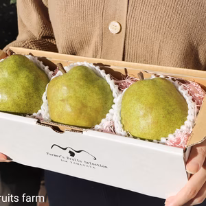 【プレミアム洋梨ギフトBOX】　山形県産　大玉特秀ラフランス　