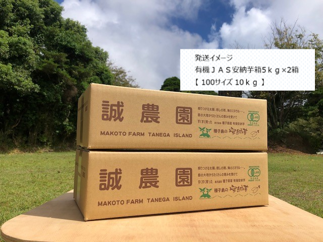 種子島産 オーガニック（有機）安納芋 MIXサイズ10kg｜野菜の商品詳細