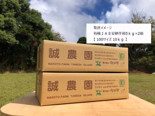 オーガニック種子島安納いも10ｋｇ｜ MIXサイズ（有機認証）