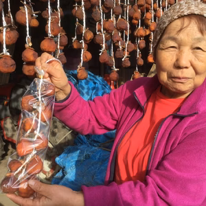 お得 天日干し 干し柿 50個