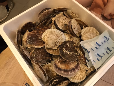 みんなの投稿の画像