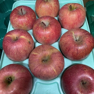 予約蜜入チェック済3K9-12葉取らず減農薬栽培樹上完熟蜜入りサンふじ　ふじ