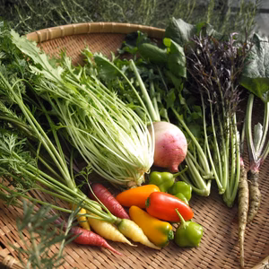 おまかせ季節の野菜セット(7～10品目)