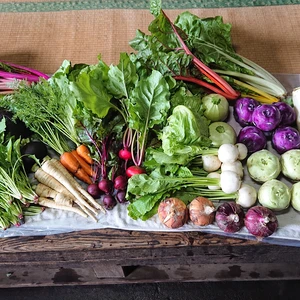 【初回限定】群馬県産の季節野菜セット(7品)、農薬や化学肥料不使用