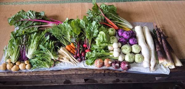 【初回限定】群馬県産の季節野菜セット(7品)、農薬や化学肥料不使用