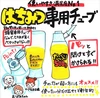【嬉しい2本セット】国産純粋みかん・あかしあ蜂蜜500gポリチューブ2本セット