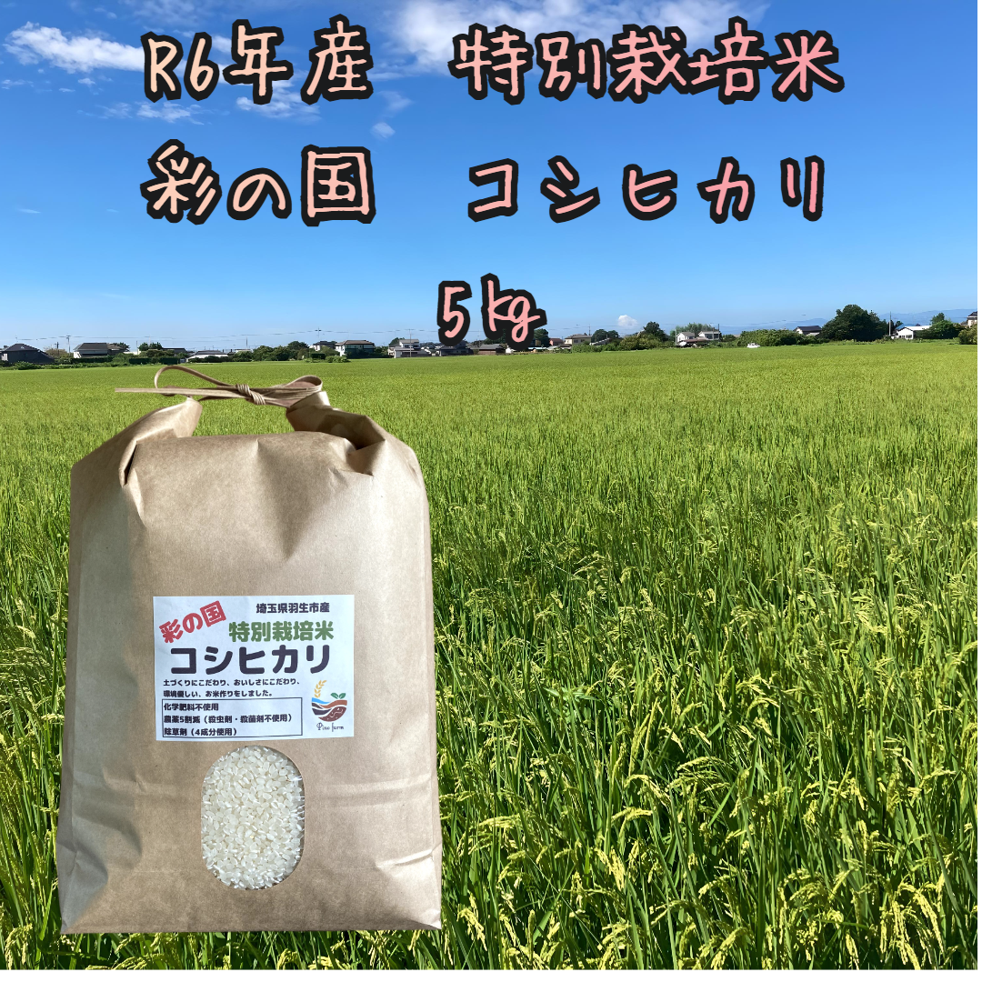 R6年産特別栽培米 彩の国 コシヒカリ ｜白米の商品詳細