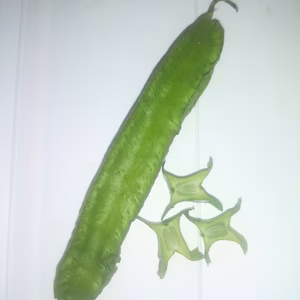 四角豆　約500g　旬の野菜のおまけ付き！