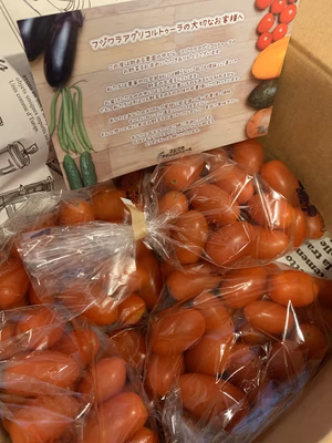 みんなの投稿の画像