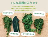 旬のオーガニック野菜セット7品目前後〈化学肥料・農薬不使用〉有機JAS認証あり