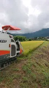 新米精米後発送❗令和４年産❤️大分県湯布院産『ひとめぼれ』5kg袋