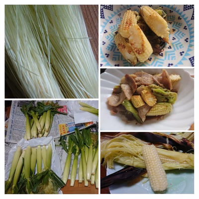 みんなの投稿の画像