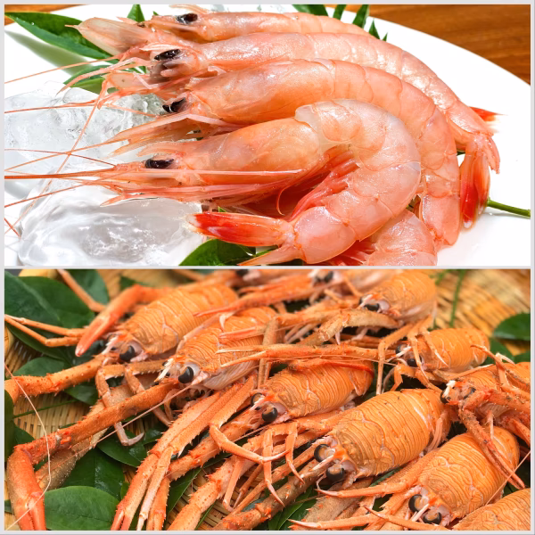 濃厚味噌！風変わりなガシャエビと珊瑚色が美しく心まで包み込む甘さのトロえび大