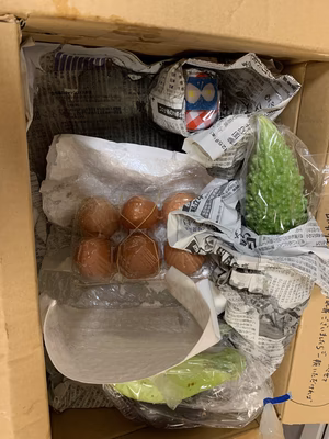 みんなの投稿の画像