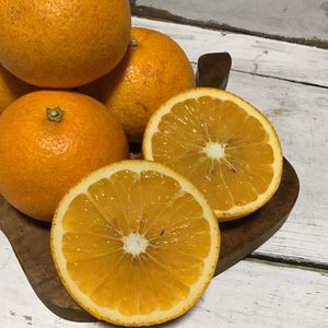 お得ねこ農園の小さな八朔