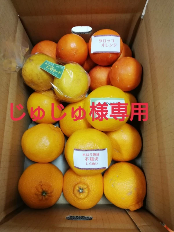 じゅじゅ様専用【お家用】木成り柑橘詰め合わせ4㎏