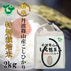 【新米】お米ソムリエが作るお米 丹波篠山産コシヒカリ 2㎏ 特別栽培米 