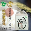 【新米】お米ソムリエが作るお米 丹波篠山産コシヒカリ 2㎏ 特別栽培米 