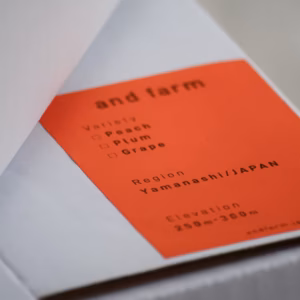 【かため桃】桃好き必見！桃のリレーが楽しめる！おうち用桃