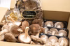 【冷蔵】生しいたけも干ししいたけも！人気なものを集めました　限定特別セット　