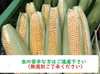 【期間限定】朝採り❕❕とうもろこし