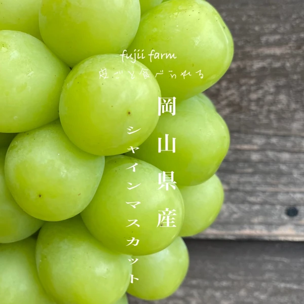 岡山県産 シャインマスカット 1.5k粒 訳あり品 【冷蔵】｜果物の商品