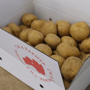 喜多方産キタアカリ (サイズ混合) 4.5kg 