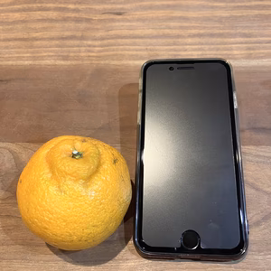 【家庭温用訳あり小玉】熊本県産露地不知火（デコポン同一品種）