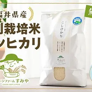 【令和5年産】毎日おいしく特別栽培コシヒカリ無洗米