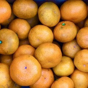 無農薬【限定3箱】家庭用•みかん(大小混合)5kg/箱