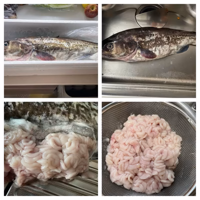 みんなの投稿の画像