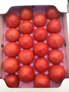 熟感トマトさひめ 4キロ
