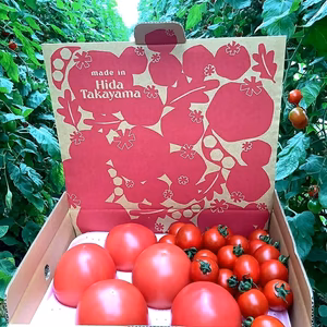 1週間をこのトマトで乗り切ろう❗️大玉トマトとミニトマトのセット