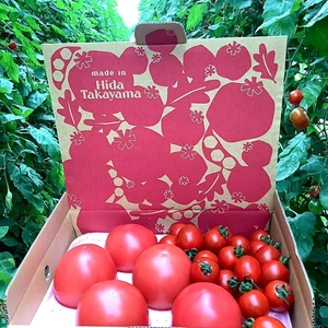 1週間をこのトマトで乗り切ろう❗️大玉トマトとミニトマトのセット