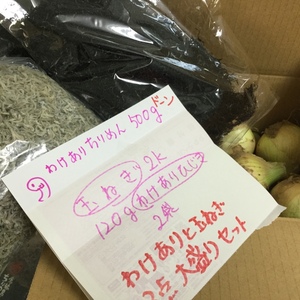 大盛り訳あり大袋セットちりめん500gひじき240玉ネギ2kg