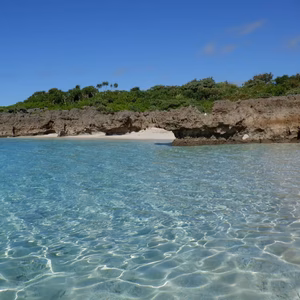 れいみりあ様専用です✨