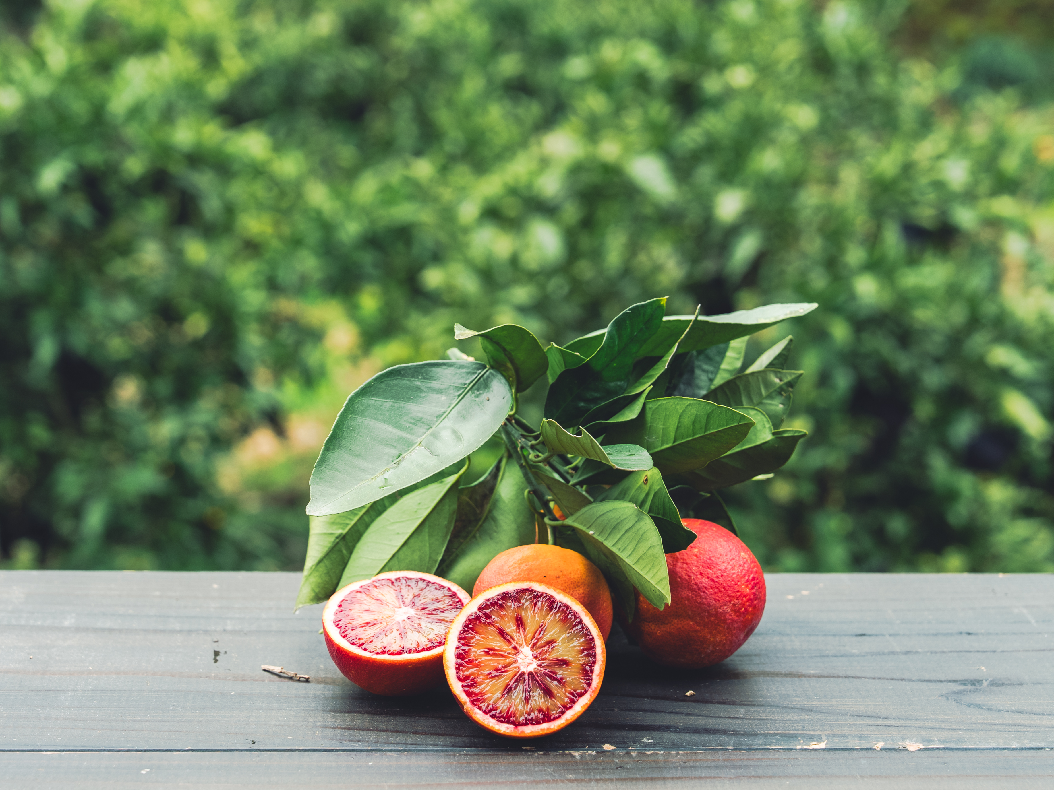 EHIME UWAJIMA】<農園イチオシ柑橘>ブラッドオレンジ（モロ