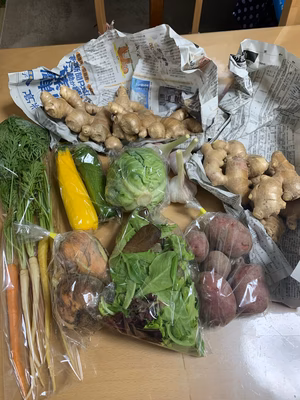 みんなの投稿の画像