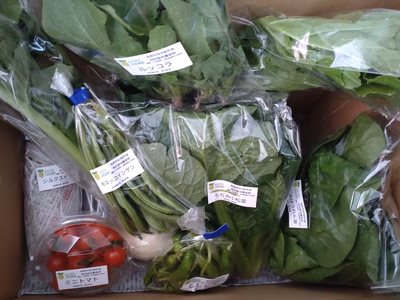 みんなの投稿の画像