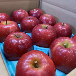 希少品種‼️ピンクレディ