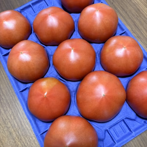 赤熟王様トマト約1.8キロ