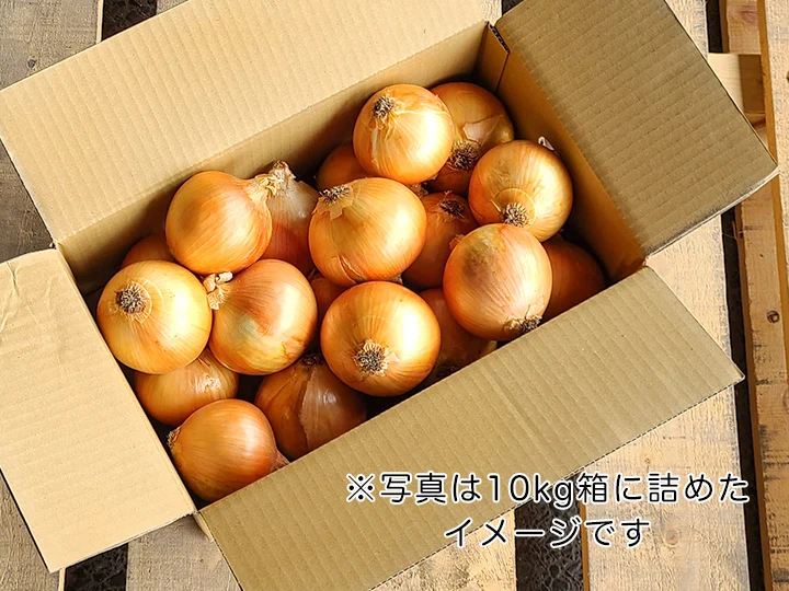 淡路島産たまねぎ 特別栽培 兵庫県認証食品 レシピ付き 令和4年収穫分