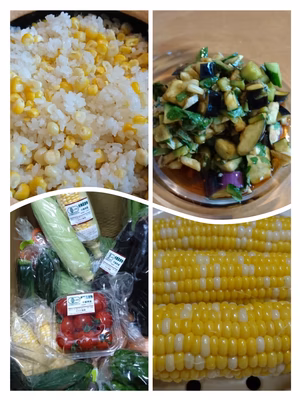 みんなの投稿の画像