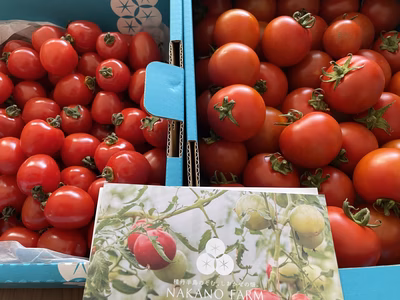 みんなの投稿の画像