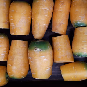 岩手山麓育ち❗金美人参　C品　農薬・化学肥料不使用